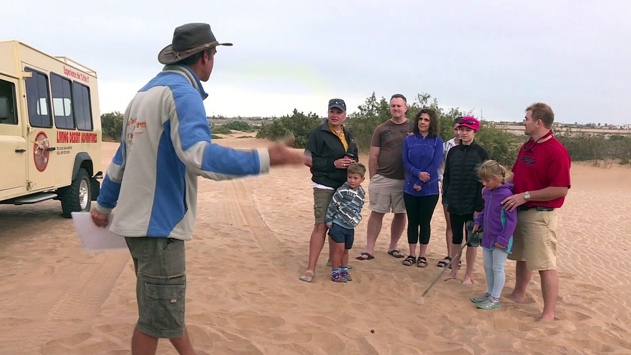 Wüste Namib - Kulisse für Oscar-Blockbuster 'Mad Max'