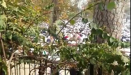 لیاقت باغ میں نماز ظہر ادا کی جارہی ہے