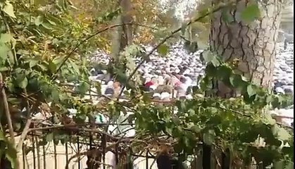 Gazi Mumtaz qadri Ka Namaz e janazy Me shareek Lakhon Log