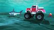 Monster Truck Cartoons for Children | Sharks Attacking Monster Truck | Monster Truck Vs Sh