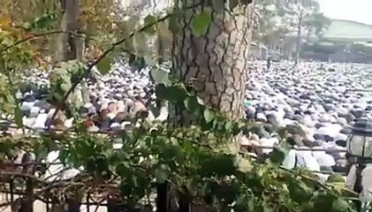 People Doing Nimaz e Zohar At Jinaza Of Malik Mumtaz Hussain Qadri Liaqat Bagh Rawalpindi