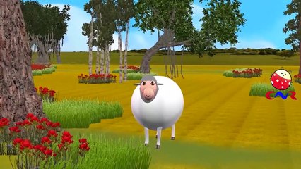 Finger Family Rhymes for Children with Sheep Cartoons | Animal Finger Family Children Nurs