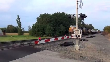 Une compilation de trains en détresse qui hurlent à la mort