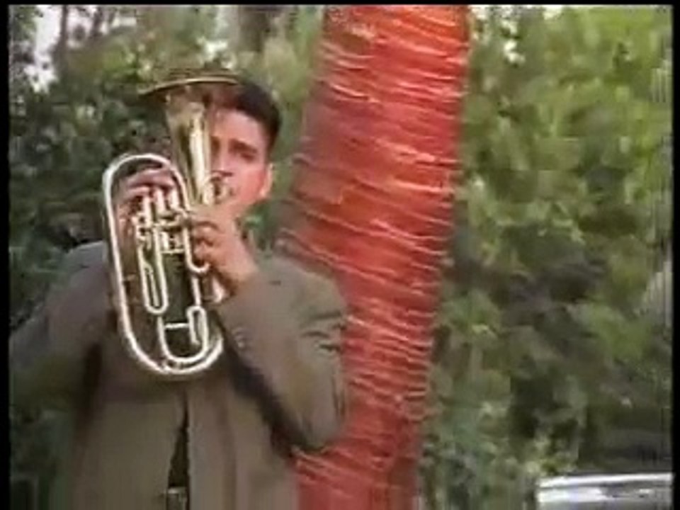 Lloraras - Banda pelillos