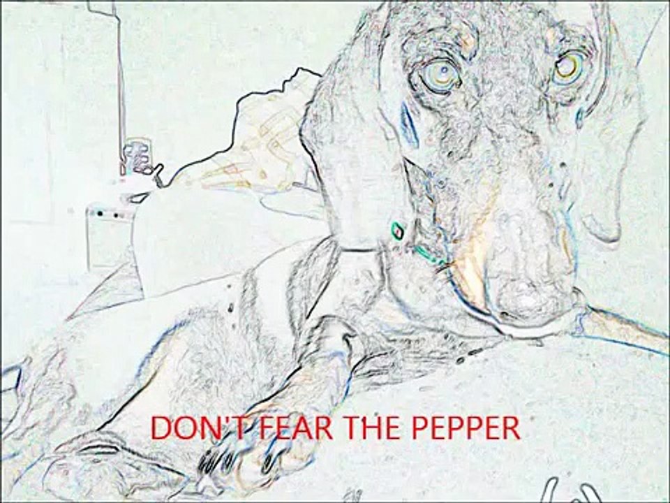 Dont fear the Pepper!!!