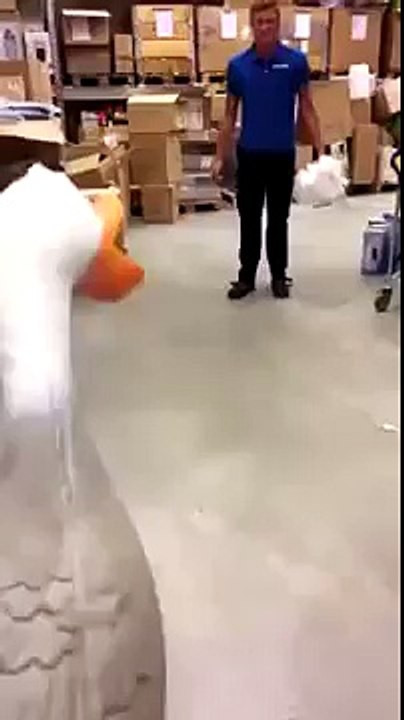 Screaming rubber duck kick