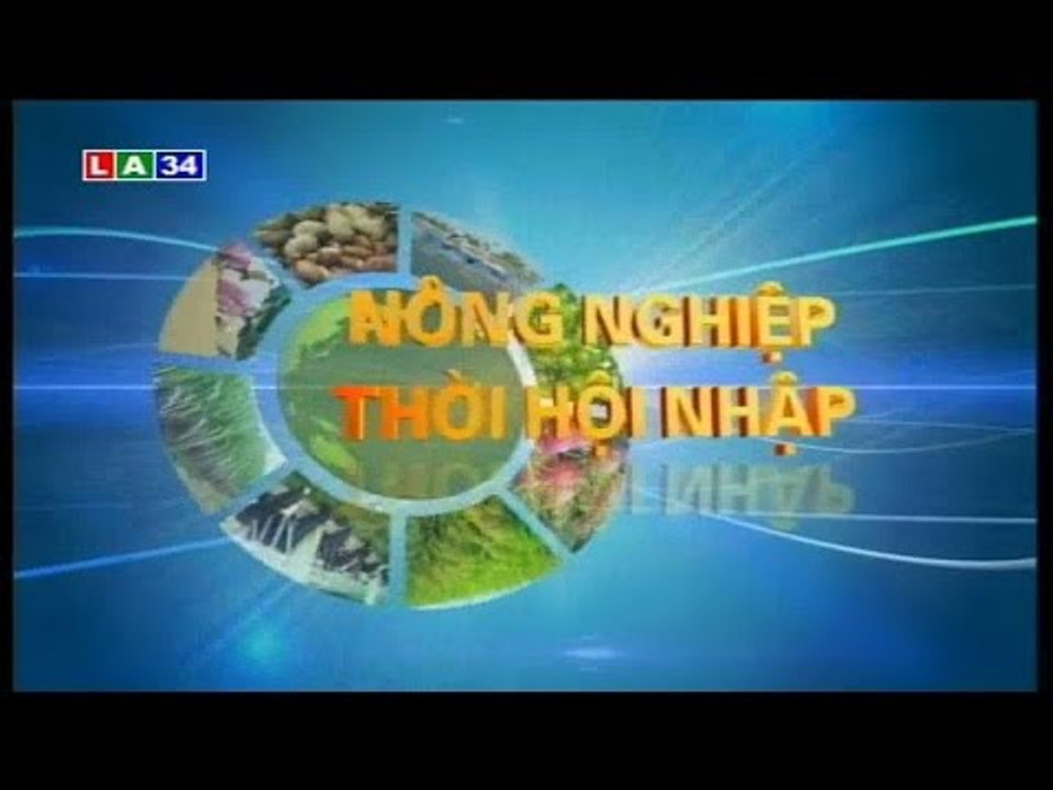 Nông nghiệp thời hội nhập: Hiệu quả từ mô hình chuyển đổi cây trồng | LATV