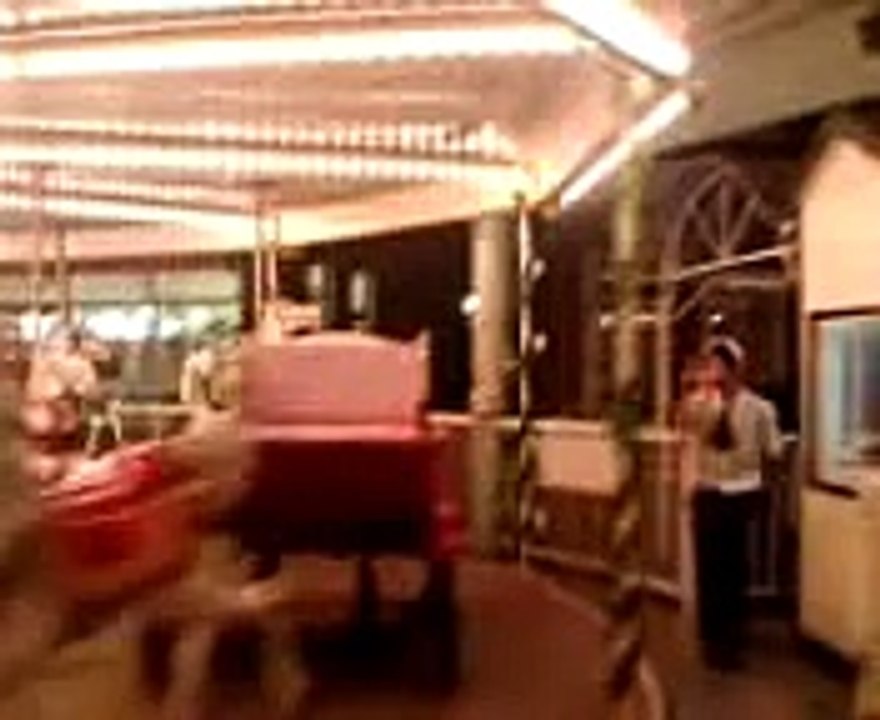 Carousel Merry-go-round Roundabout Cat Juke Box