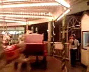 Carousel Merry-go-round Roundabout Cat Juke Box