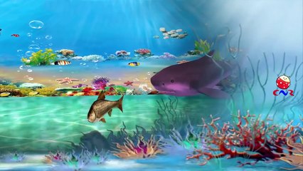 Finger Family Nursery Rhymes for Children Shark Cartoons | Finger Family Children Nursery