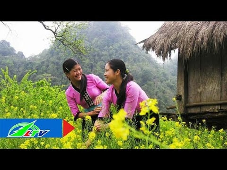 Đẹp sao ơi rừng núi | LTV