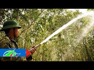 Hiệu quả của việc dự trữ nước trong rừng | LTV