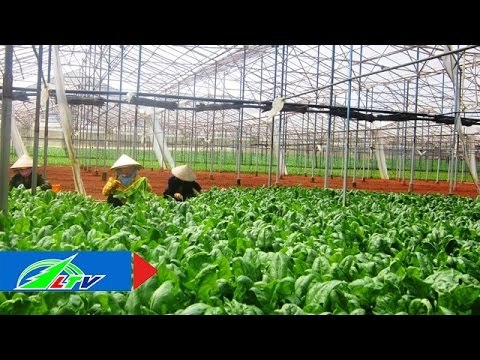 Khám phá điểm mua sắm chất lượng cao tại Đà Lạt | LTV