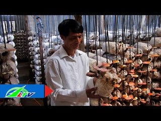 "Hái ra tiền" từ mô hình trồng nấm | LTV