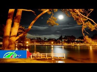 Đà Lạt về đêm: Khi hồn người lạc bước! | LTV