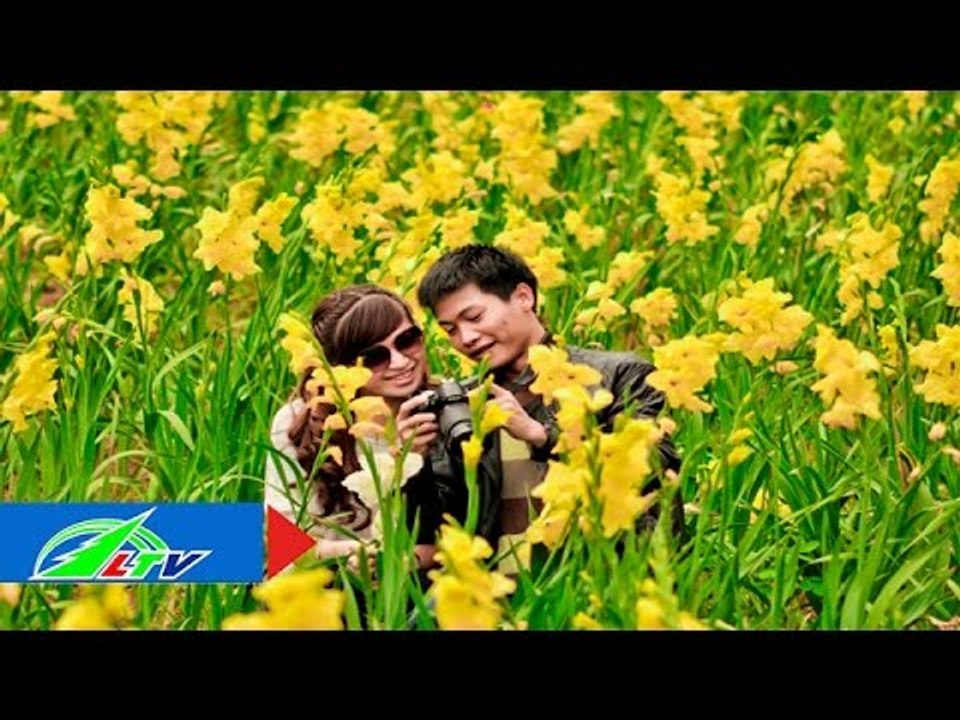 Làng hoa Hà Đông "e ấp" ngày xuân | LTV