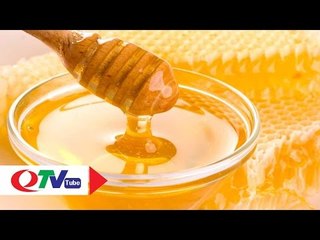 Ngọt thơm mật ong Hoành Bồ | QTV