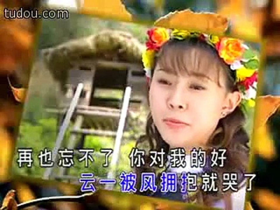 Hoa Bằng Lăng - Trắc Y Đình - Nhac Hoa