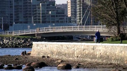 People walking in Stanley Park next to the beach.