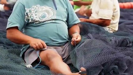 Quand un manchot et un humain deviennent amis