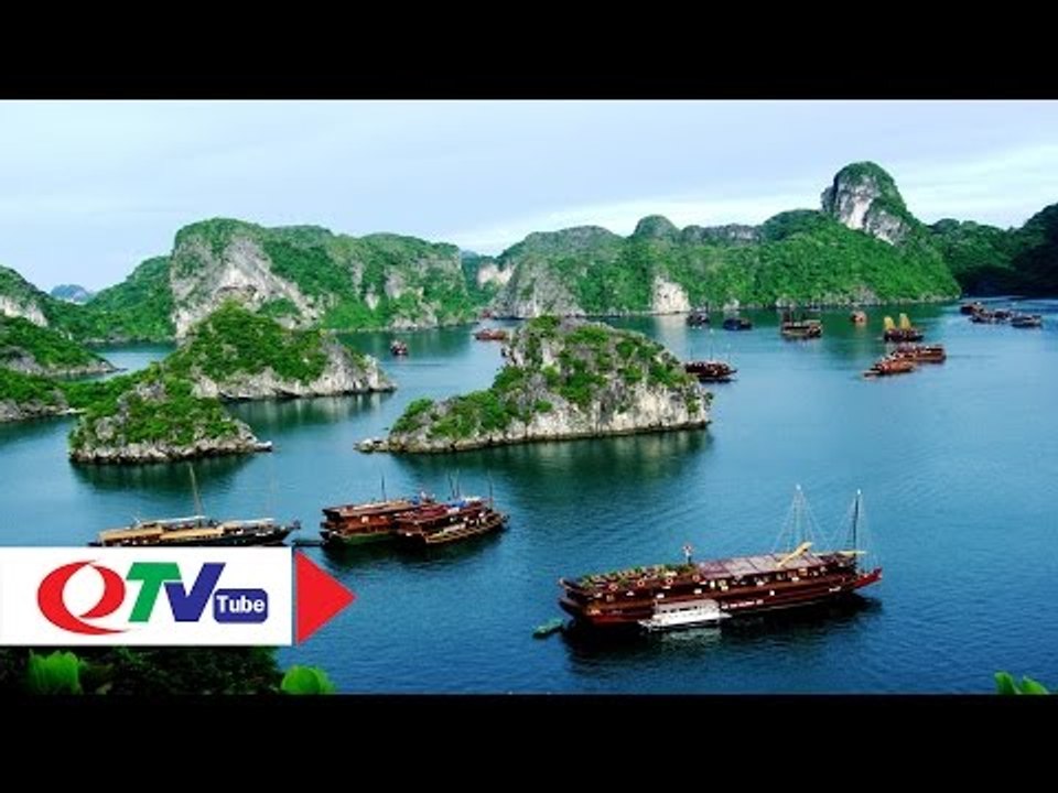 Khảo sát thực vật "hiếm" trên vịnh Hạ Long | QTV