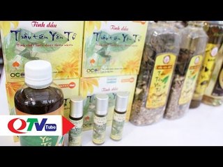 Kỳ diệu "trầu tiên" giữa đại ngàn Yên Tử | QTV