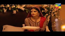 Mann Mayal Episode 06 HD Full Hum TV Drama 29 Feb 2016