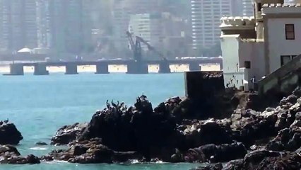 Sirena real encontrada viva con telescopio