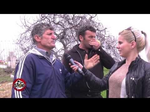 TIRANE, BANORET E FSHATIT KODER MJULL PREJ 20 VITESH PA UJE Te PIJSHEM