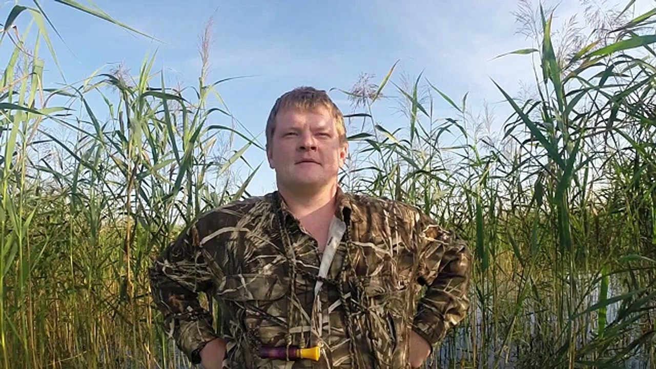 Охота на водоплавающую птицу