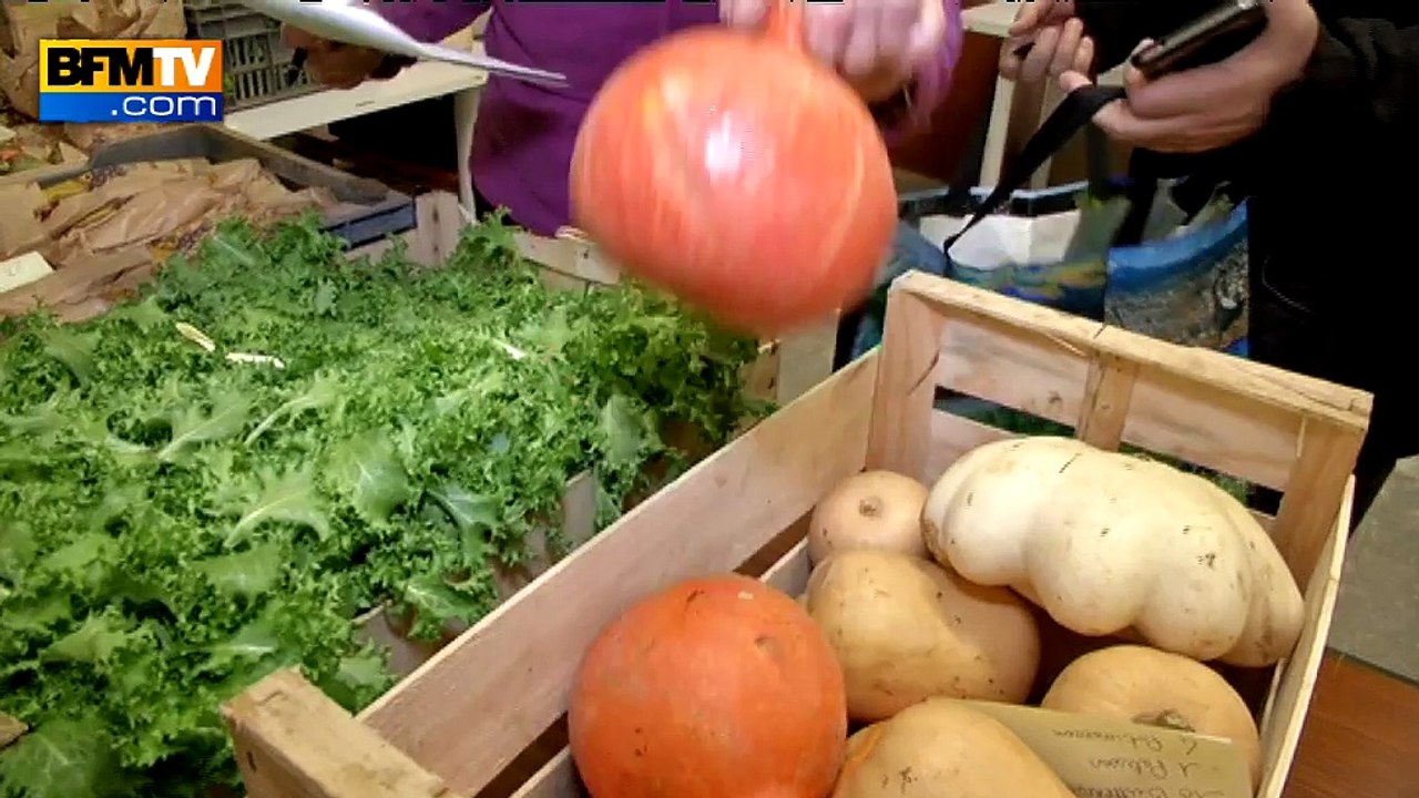La vente de produits maraîchers locaux a la cote
