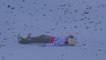 Il fait une lourde chute lors d'un saut à ski