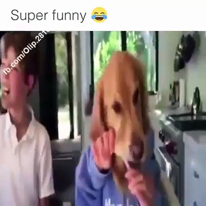 Funny Clip
