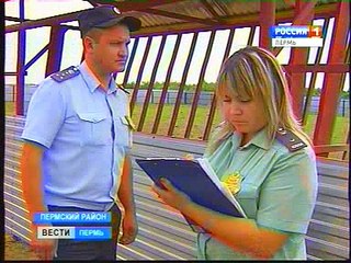 Рога и копыта_ за долги у фермера арестовали бизонов
