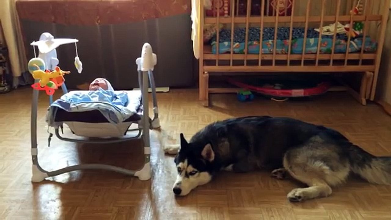 Ce chien fait un truc vraiment trop mignon pour ce bébé