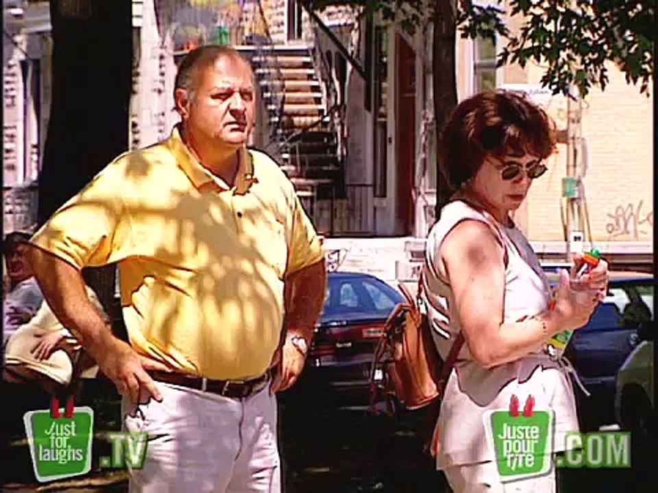 Driving Dog Prank - Just For Laughs Gags