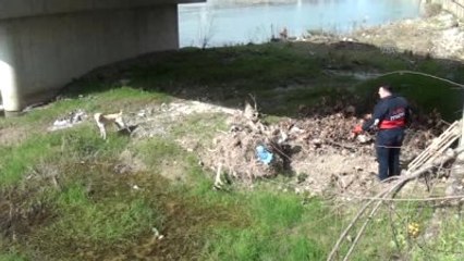Çayda Mahsur Kalan Köpek Zorlukla Kurtarıldı