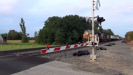 Quand les trains crient comme des humains
