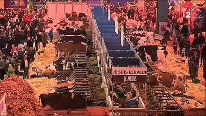Salon de l'agriculture : les enfants en font leur terrain de jeu
