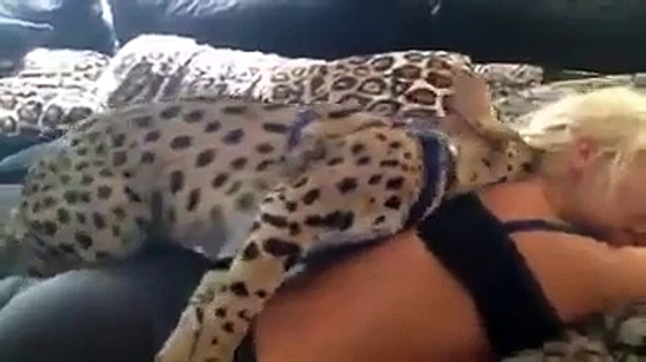 Un chat Bengal magnifique... Et sa maitresse aussi!