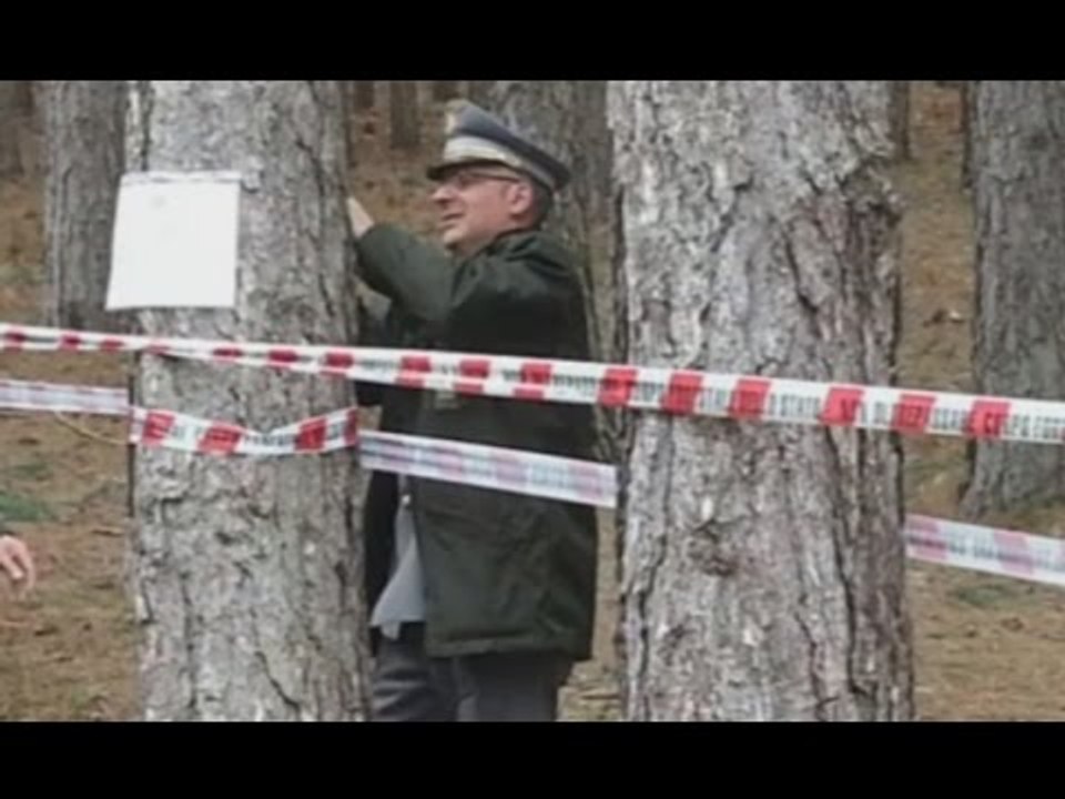 Cosenza - Sequestrato bosco di 1300 ettari di "Calabria Verde" (01.03.16)