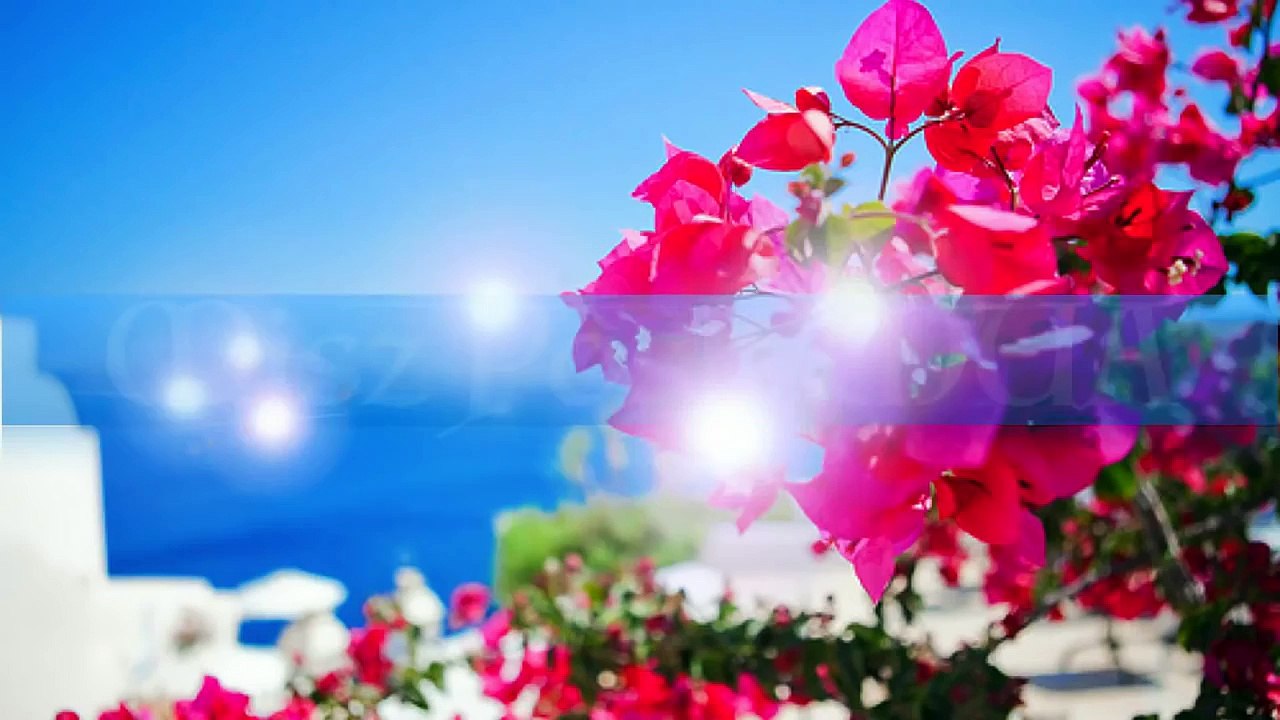 My Top 5 Skincare & Beauty Secrets  - Beauty Tips