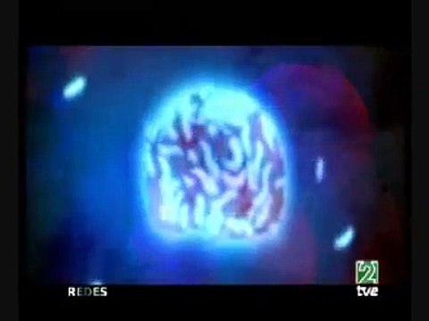 ¿Por qué nos engaña nuestro cerebro?, introducción.Redes