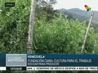 Venezuela: Fundos Zamoranos impulsan motor agroalimentario