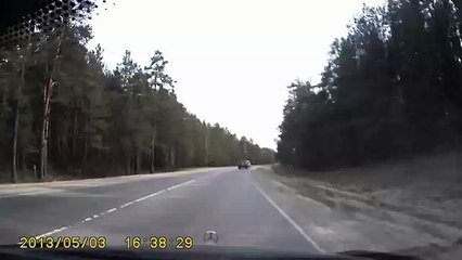 Дорога на Улыбышево. Заяц и лиса