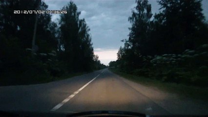 Заяц бежит по дороге.MOV