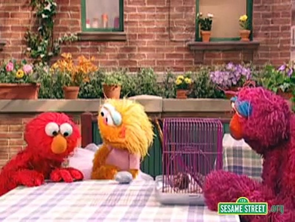 Sesame Street Best Pet in the World Dailymotion Video