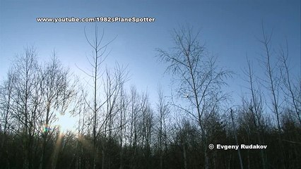 Заяц вблизи аэропорта Иркутск _ Hare near airport Irkutsk