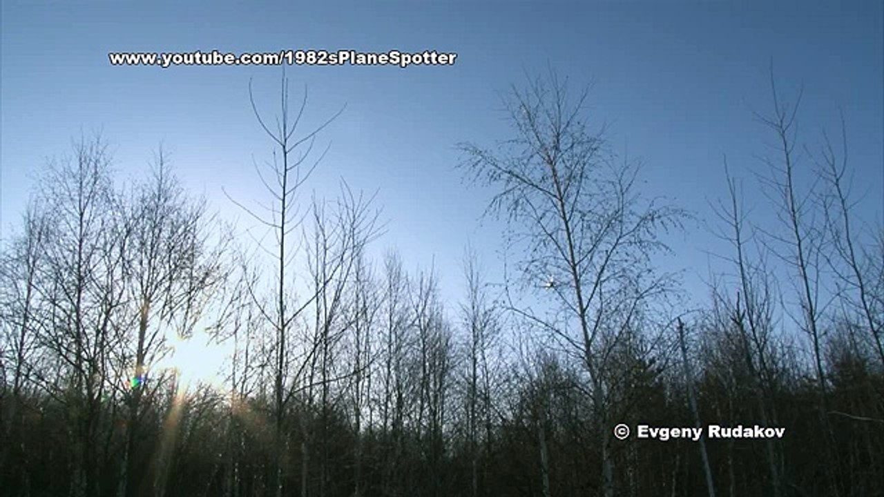 Заяц вблизи аэропорта Иркутск _ Hare near airport Irkutsk