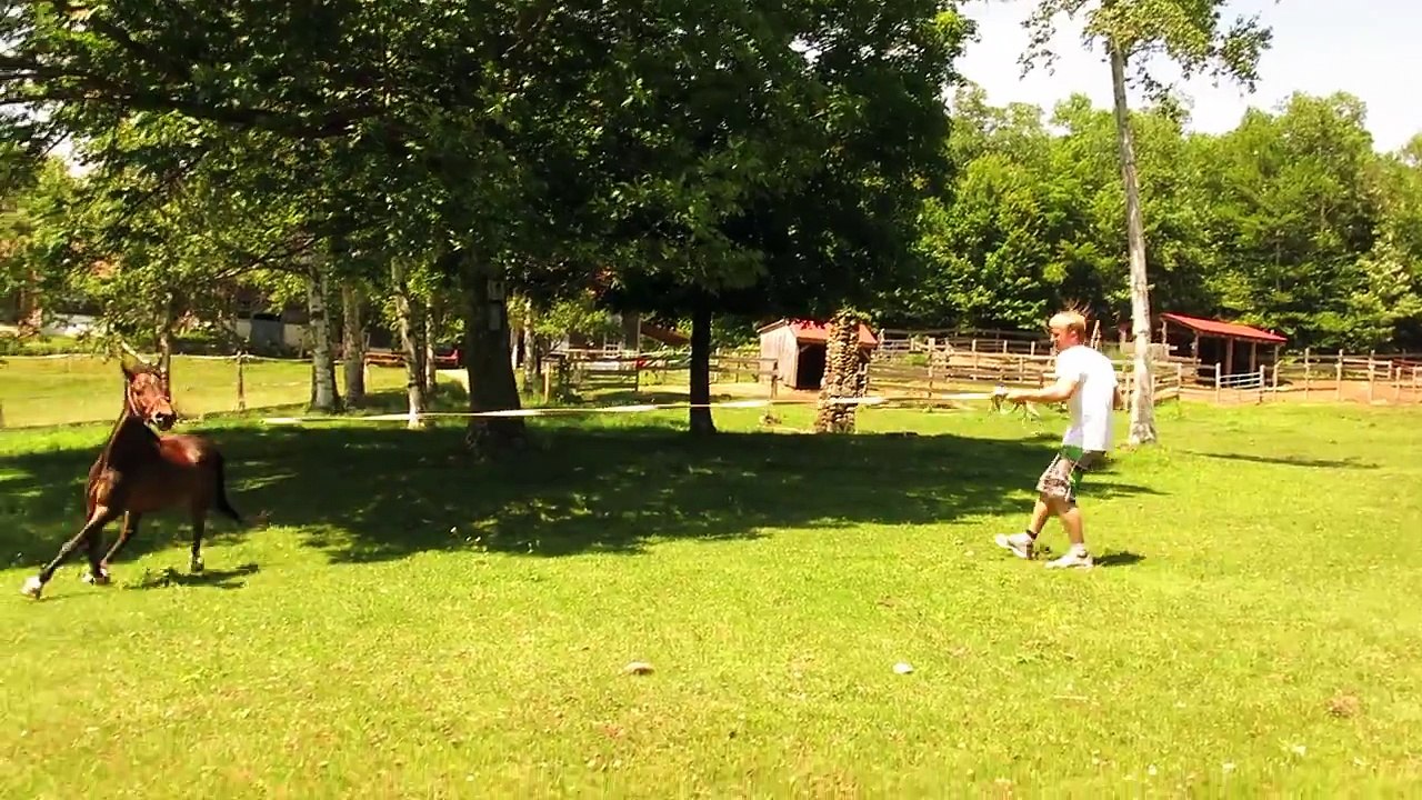 Equine Therapies for Rehab Guys - The Hawaiian...